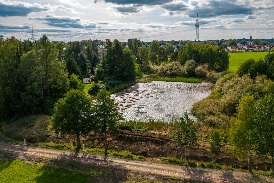 Der Teich in Grüna sowie sein Umfeld sind ein wichtiges Chemnitzer Naturschutzgebiet.