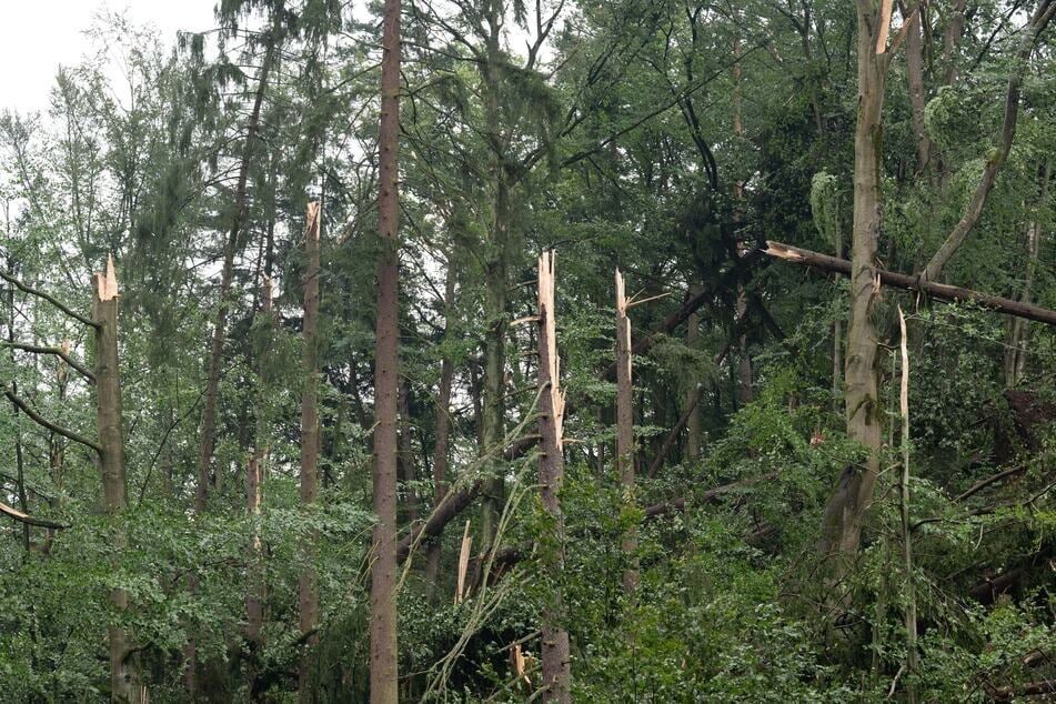 Fotos zeigen, wie schwer das Unwetter gewütet haben muss.