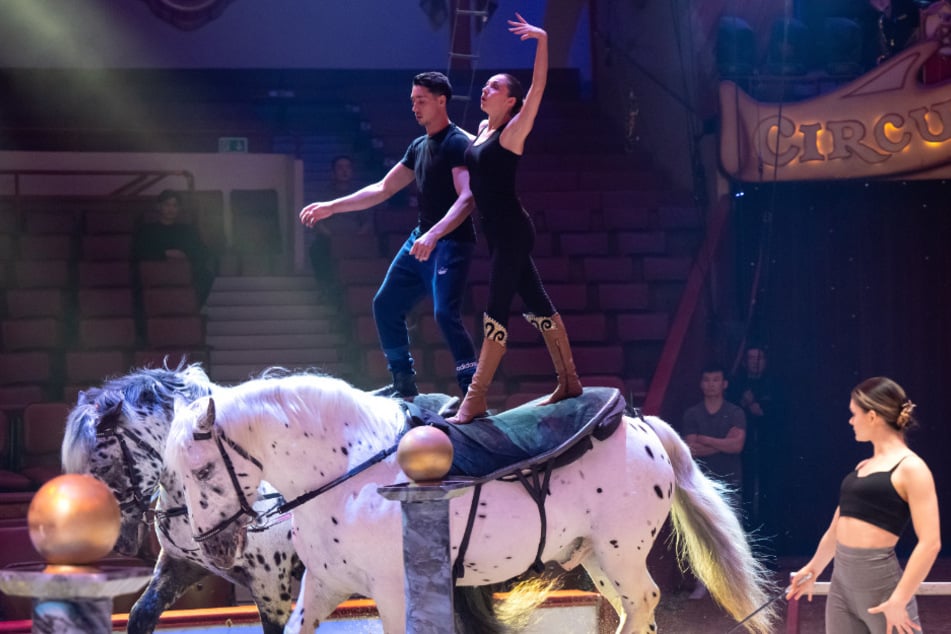 René Casselly stand bereits mit Schwester Merrylu (M.) im Zirkus Crone auf der Bühne.