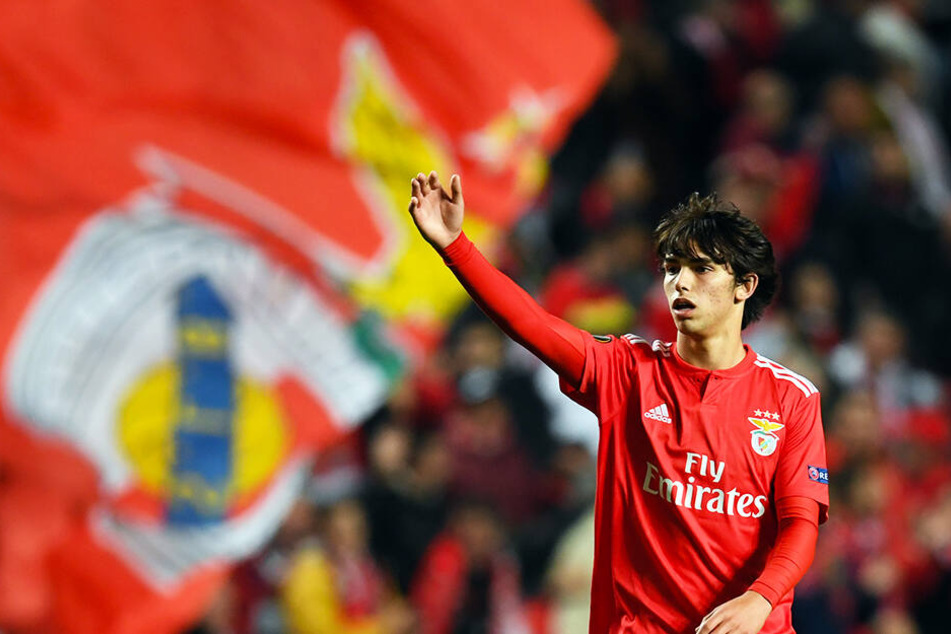 Joao Felix erspielte sich bei Benfica Lissabon schnell einen Stammplatz.