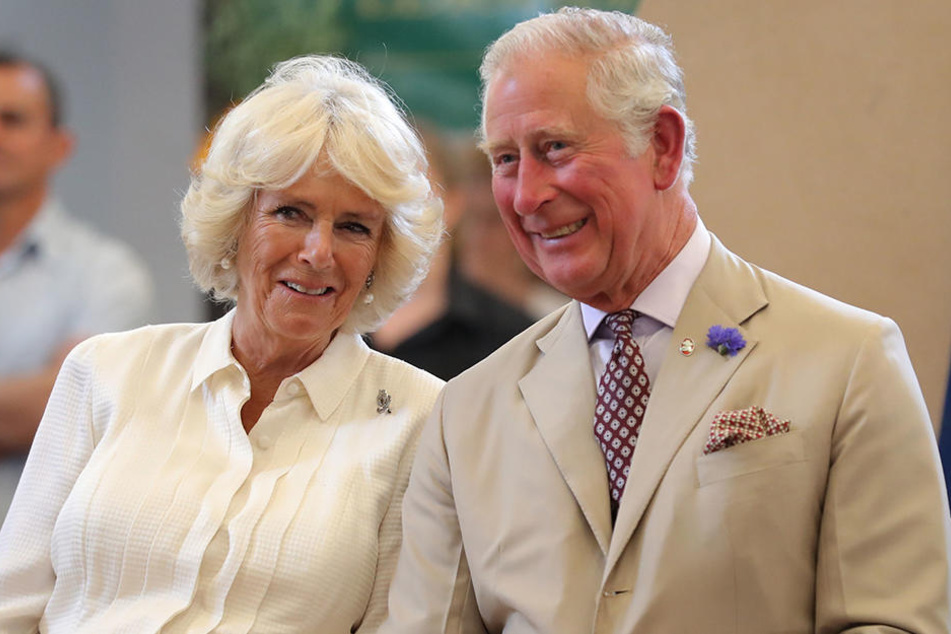 prinz charles wird 70 doch auf diesen familienfotos stimmt was nicht tag24
