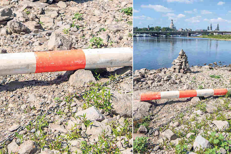 Eine Boje liegt auf dem ausgetrockneten Flußbett der Elbe in Dresden.