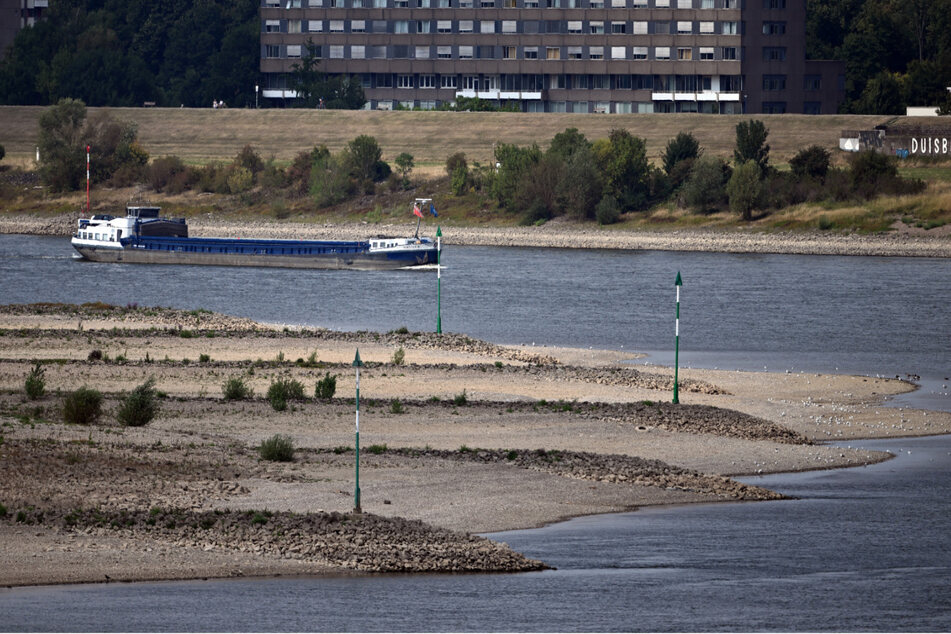 Regen wird nur kleinen Effekt auf Wasserstand im Rhein haben