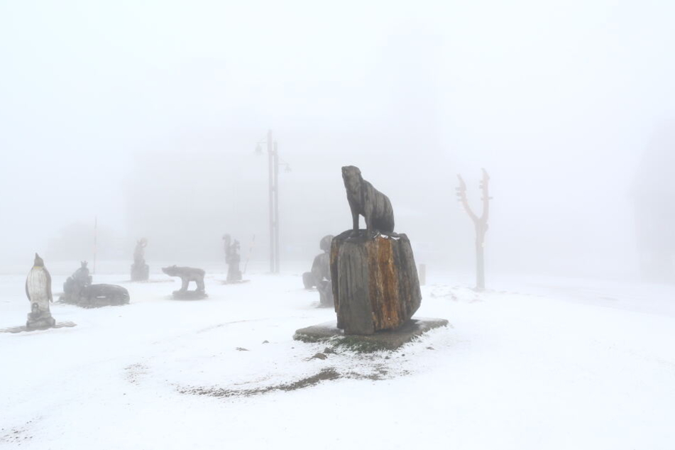 Am Montagmorgen sind auf dem Fichtelberg rund drei Zentimeter Neuschnee gefallen.