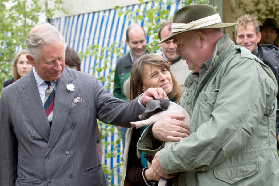 Seit seinem ersten Besuch 1962 soll Charles mehr als 30 Mal in Deutschland gewesen sein. Hier zu sehen: Der britische Thronfolger bei einem Besuch in Baden-Württemberg 2013.