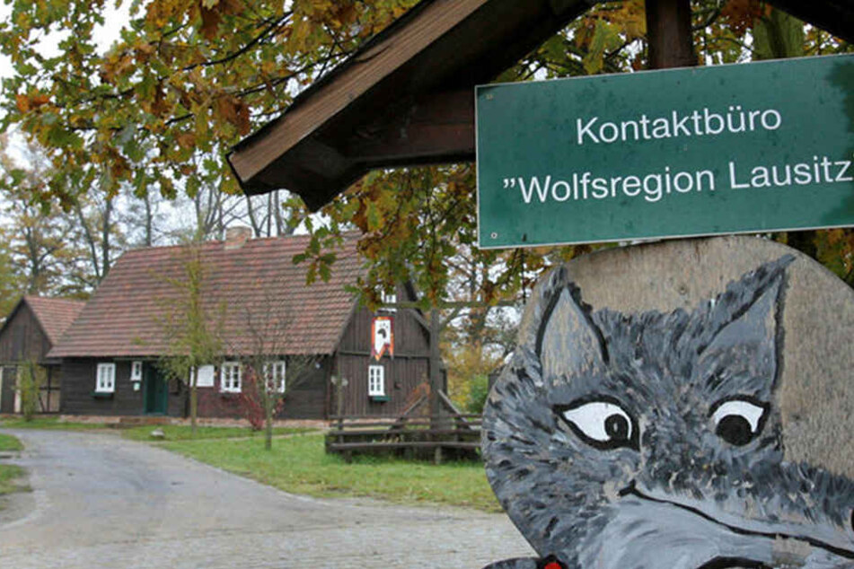 Das Wolfsbüro in Rietschen bekommt bald einen neuen Namen.