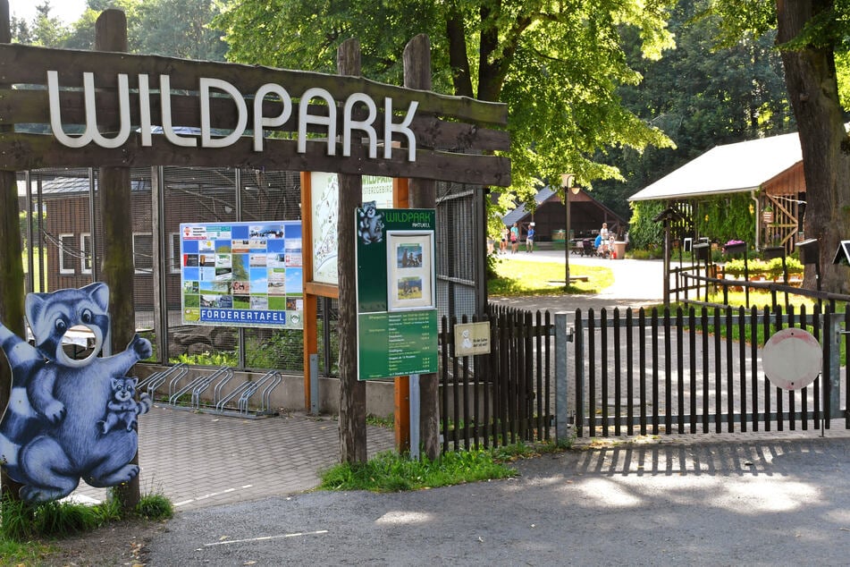 Verbringt ein schönes Pfingstfest im Wildpark Osterzgebirge. (Archivfoto)