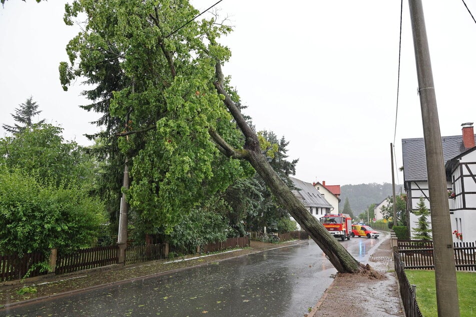 Im Glauchauer Ortsteil Niederlungwitz ging ein Baum quer über der Straße.