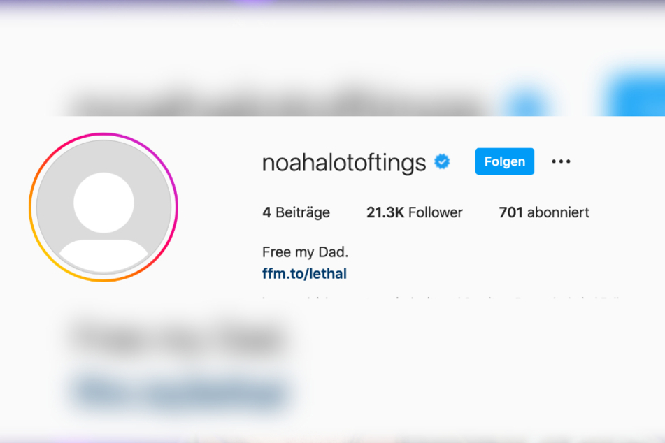 Das steht derzeit in Noahs Instagram-Profil-Beschreibung.