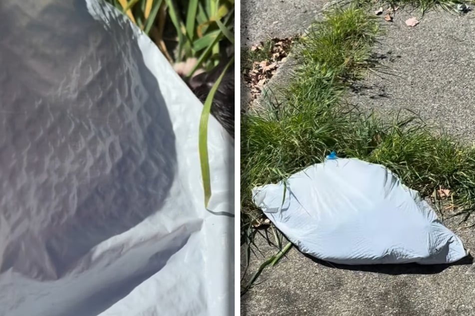 Frau sieht, dass sich Plastikbeutel auf Straße bewegt: Als sie reinschaut, trifft sie der Schlag