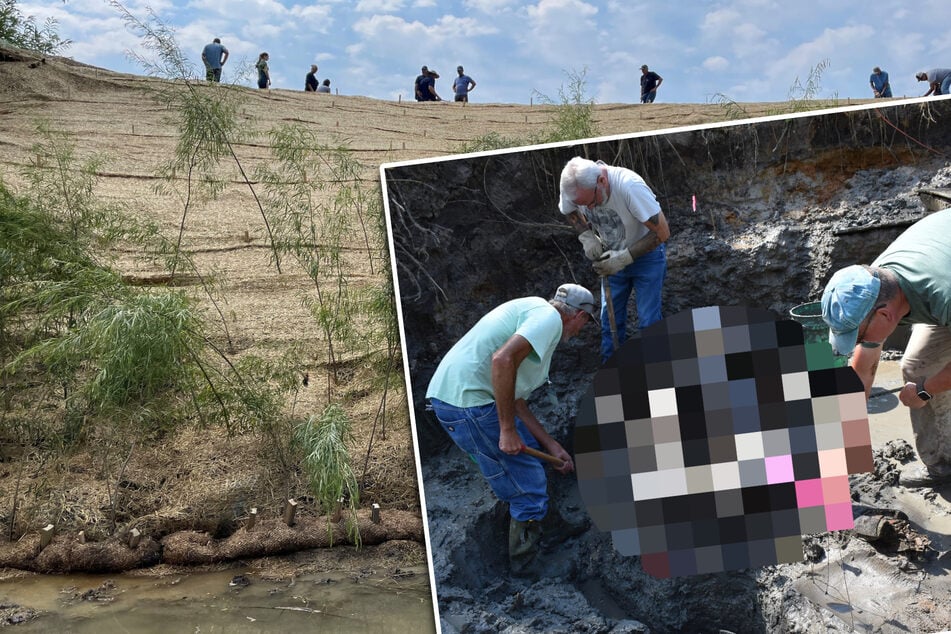 Gewaltige Entdeckung! Forscher buddeln 13.600 Jahre alten Riesen-Schädel aus