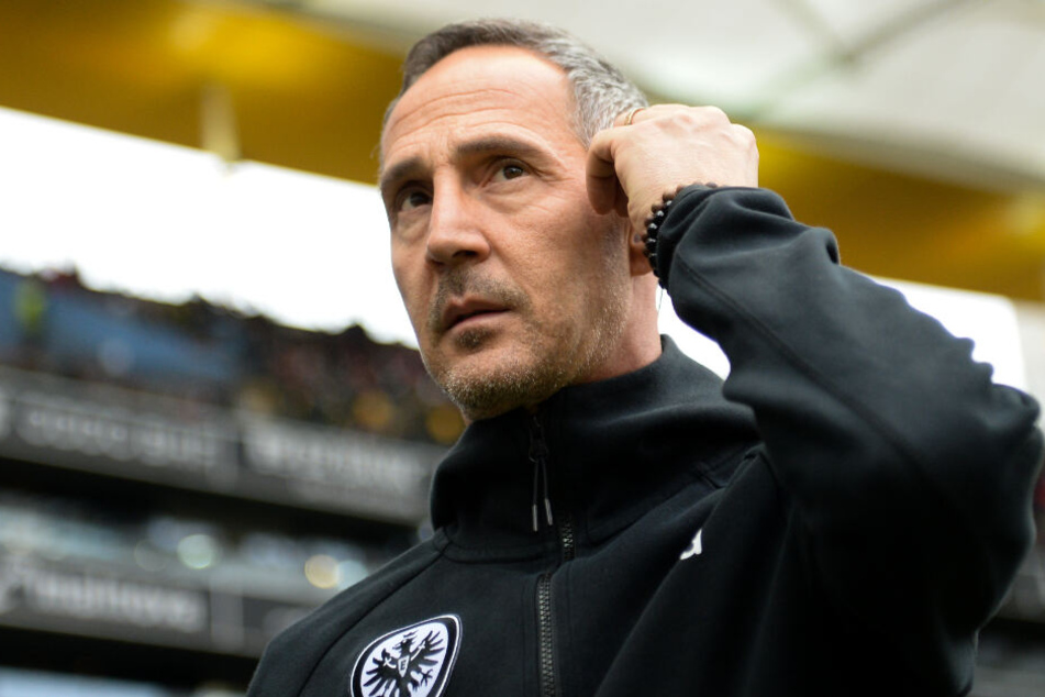 Seine Jungs sind "bissig und fokussiert": Adi Hütter.
