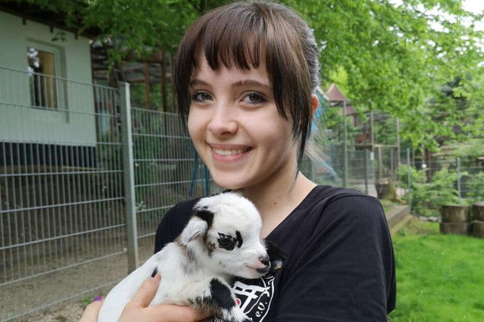 Im Zoo der Minis wurden Miniziegen-Zwillinge geboren. Bufti Johanna Schunke (19) kuschelt mit einem der kleinen Ziegenbabys.