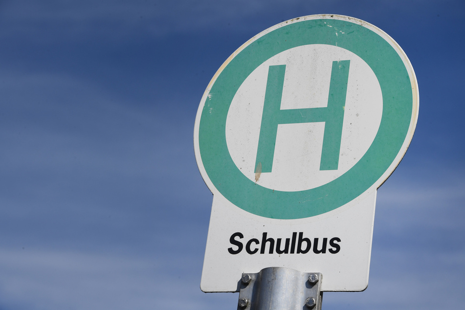 Beim Bremsmanöver eines Schulbusses in Eiselben wurden 15 Kinder leicht verletzt. (Symbolbild)
