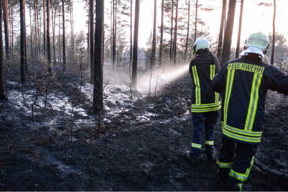 Feuerwehrleute löschen Glutnester auf dem ehemaligen Truppenübungsplatz.
