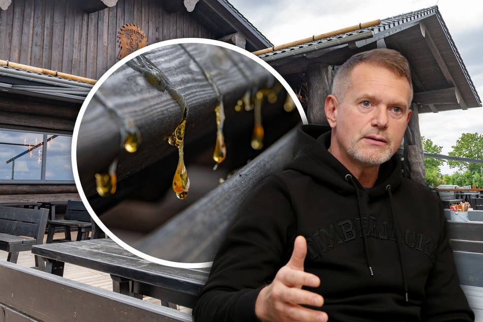 Dresden: Holzart verwechselt? Deshalb sorgen Terrassenmöbel des neuen Ami-Restaurants für Ärger