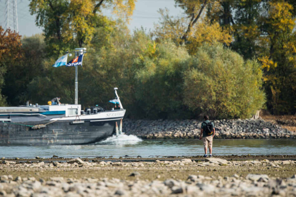 Der Rhein führt in Köln sehr wenig Wasser, auch weil es im Oktober sehr trocken ist.