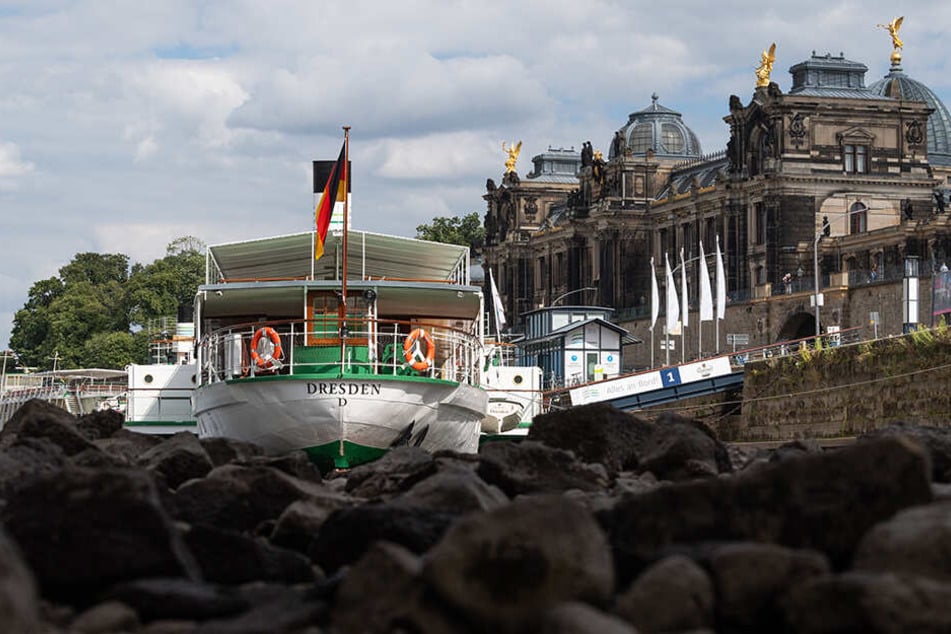Die Sächsische Dampfschiffahrt sitzt auf dem Trocknen - in vielerlei Hinsicht.