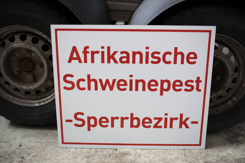 Ein Schild mit der Aufschrift "Afrikanische Schweinepest - Sperrbezirk-" steht bei einem Rundgang durch das hessische Zentrallager für Tierseuchenbekämpfungsmaterial an einen Anhänger gelehnt.