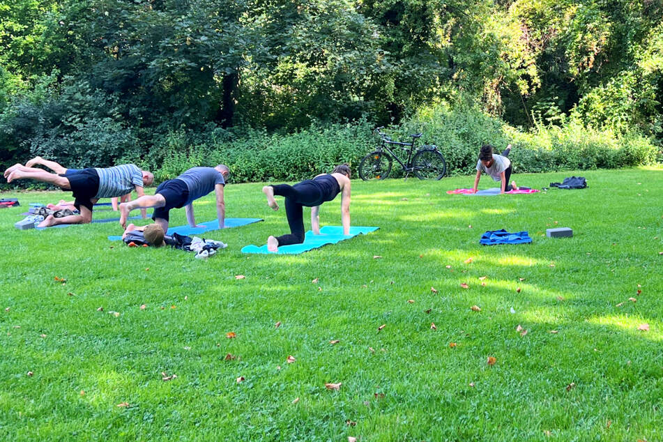 In diesen Berliner Parks finden jetzt kostenlose Bewegungsangebote statt
