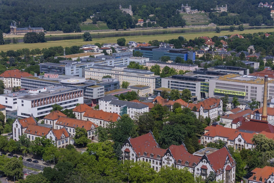 Auch die Dresdner Uniklinik tüftelt an einer Waldinsel ("Gesundheitswald"), die etwa therapeutischen Zwecken dienen könnte.