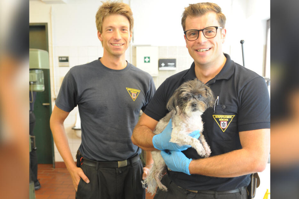 Hund Sofia und ihre Retter von der Feuerwehr.