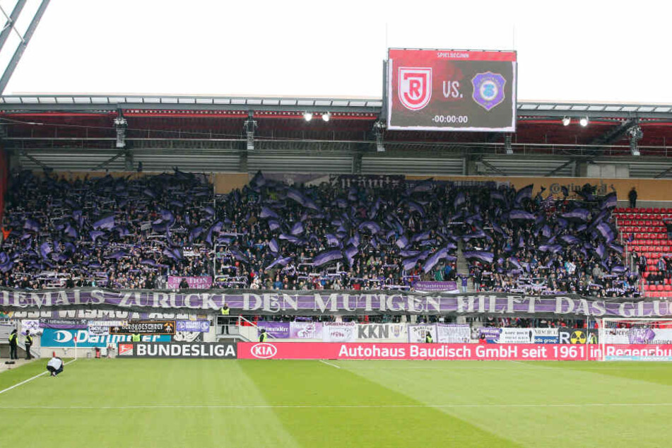 Mehr als 2000 Fans werden ihre Veilchen am Sonntag in der Regensburger Continental Arena unterstützen.