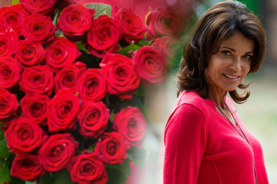 Die Schauspielerin Gerit Kling wird der neue Star in der Telenovela.