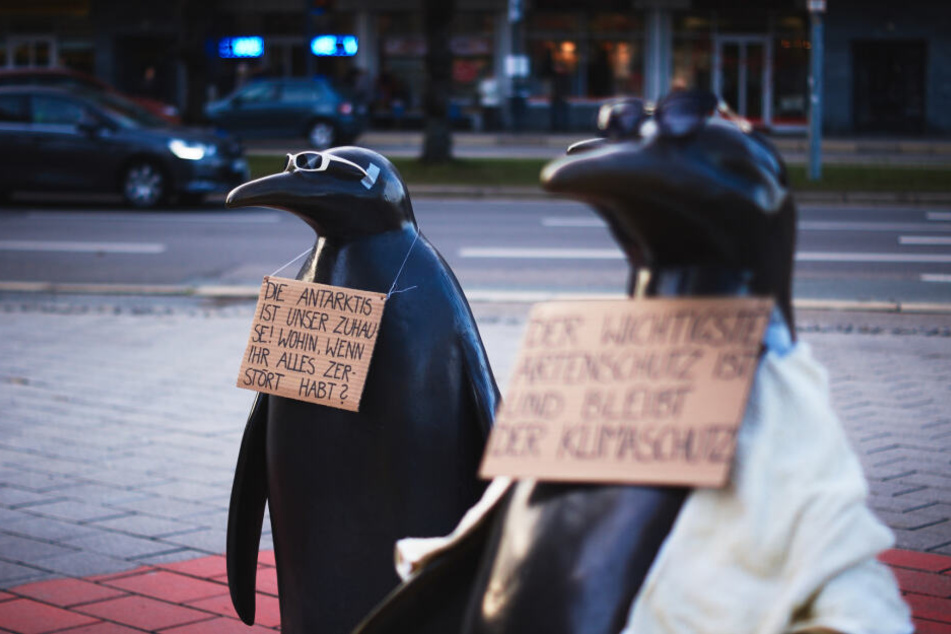 Auch in Chemnitz ist eine Demo zum Klimaschutz geplant.
