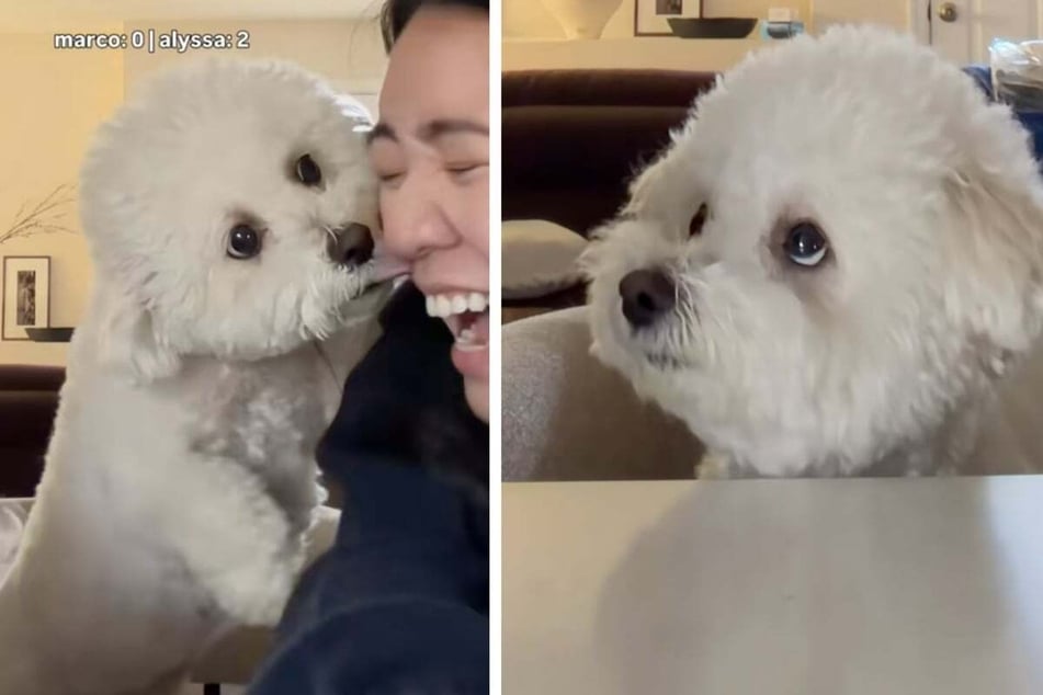 The dog left no doubt that his owner Alyssa is his absolute favorite person.