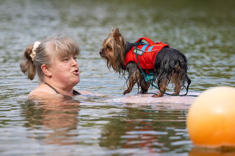 Auch die Frauchen der Vierbeiner wagten sich ins Wasser.