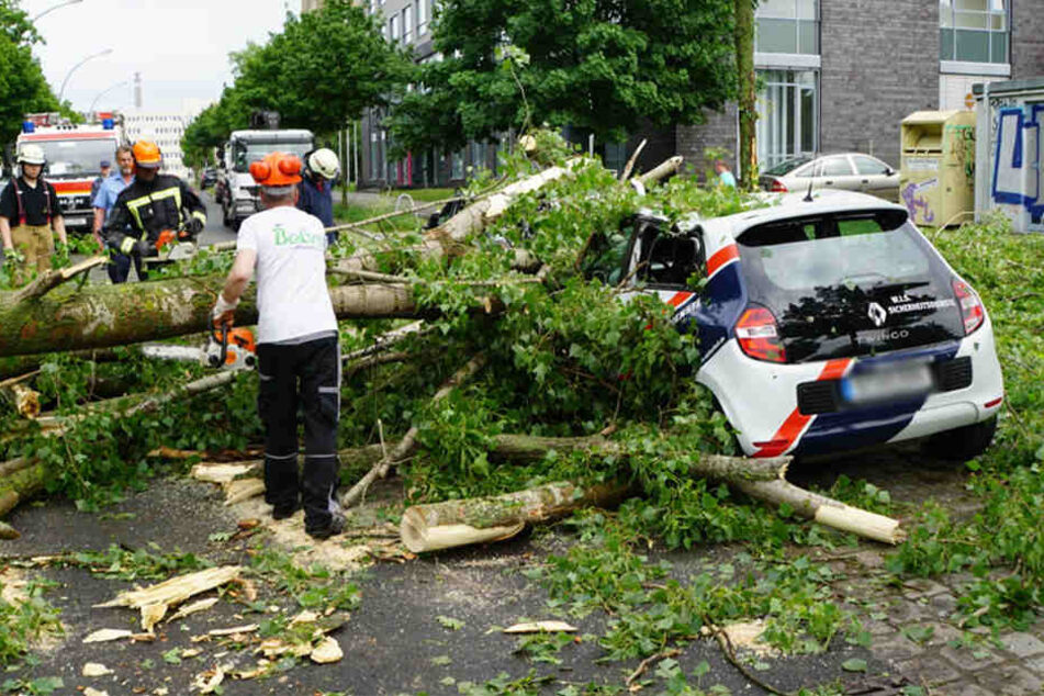 Am Baumschulenweg (Treptow) stürzte ein Ast auf eine Stromleitung und in Lichtenberg begrubt ein Baum zwei Autos einer Sicherheitsfirma.
