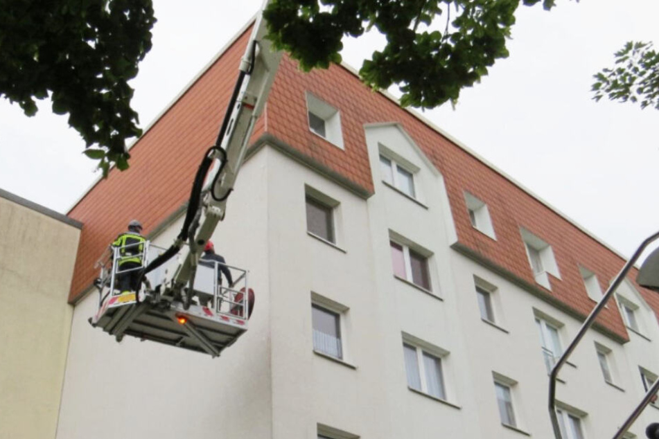 Einsatzkräfte der Feuerwehr und ein Vogelschutzexperte des NABU Leipzig befreiten die Tiere.