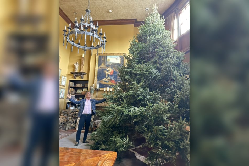 Lan Sansone could hardly believe his eyes when his father presented the Christmas tree.