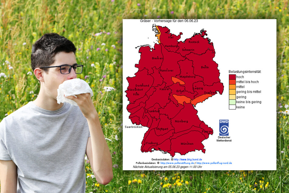 Pollenwarnstufe Rot in ganz Deutschland: Wann kommt endlich Regen?