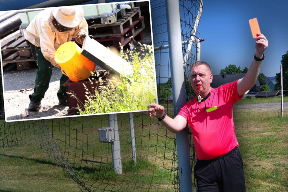 Spielabbruch in Sachsen: Bienen greifen Fußballer an!