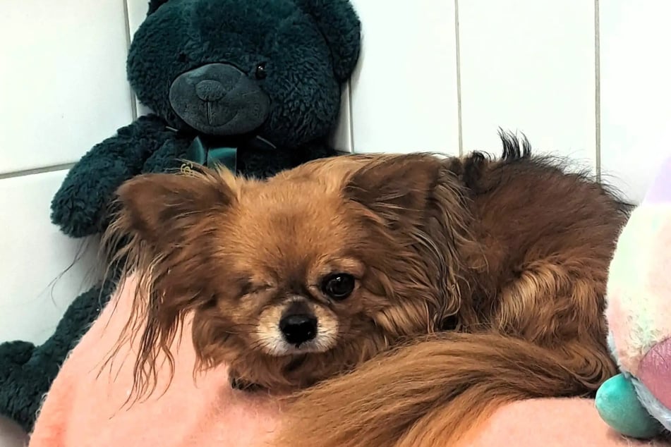 Bei einem Autounfall verlor er ein Auge.