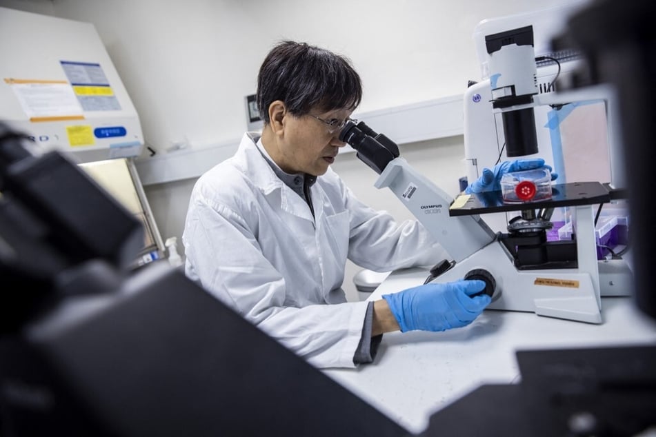 Yuen Kwok-yung uses a microscope in a laboratory at Queen Mary Hospital in Hong Kong.