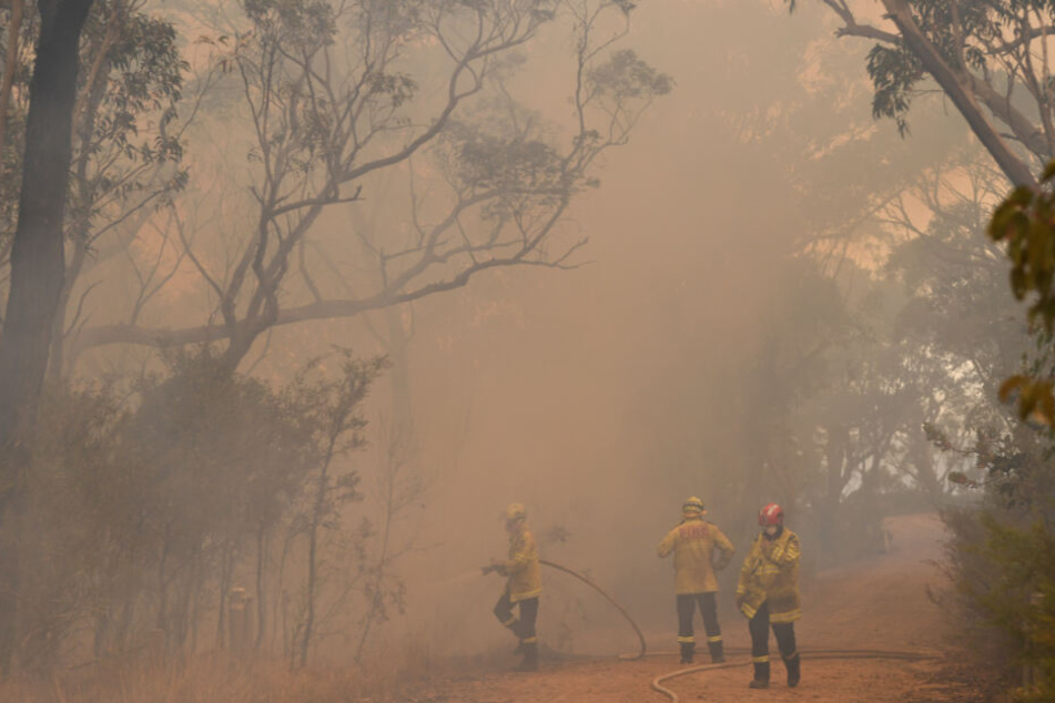 Die Lage im Kampf gegen die Buschfeuer in Australien spitzt sich weiterhin zu.