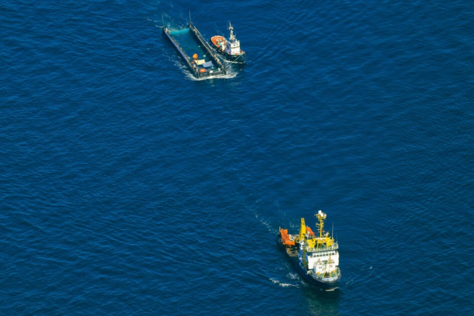 Die Flotte samt Barge und Buckelwal "Timmy" hat sich mittlerweile weit von der dänischen Küste entfernt.