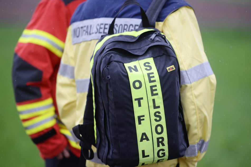 Wildunfall in Halberstadt: Autofahrerin (57) fährt mit Reh im Kühlergrill  nach Hause