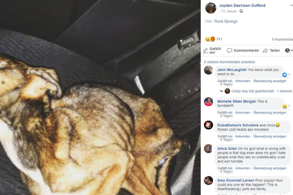 Jayden Dufford zeigte sich auf seiner Facebook-Seite schockiert. Angel starb in seinem Auto.