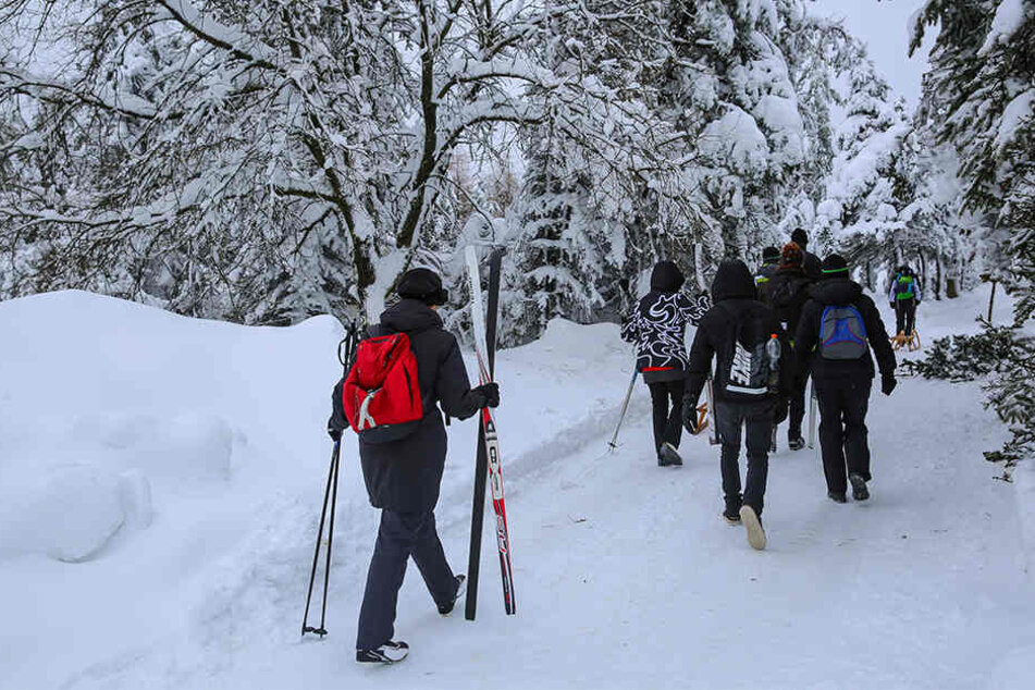Schneebruch-Warnung? Viele Langläufer ignorierten den Rat des Tourist-Info-Büros Altenberg, gingen trotzdem in den Wald.