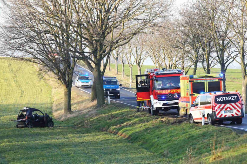 Die Kreisstraße war während der Bergungsmaßnahmen in beiden Richtungen voll gesperrt.