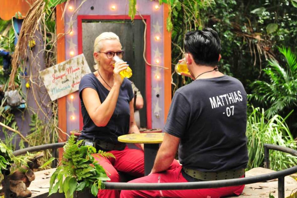 Ein Glas voller Kuh-Urin: Bei der Dschungel-Prüfung haben Camp-Mutti Natascha Ochsenknecht und Crash-TV-Memme Matthias Mangiapane nichts zu lachen.