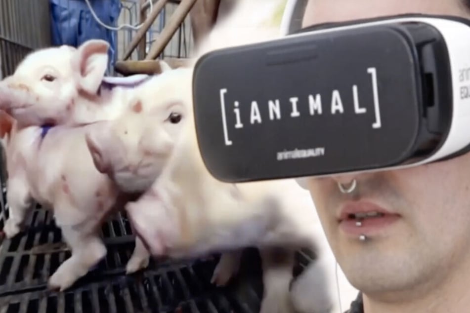 Ein Video hat Fabian Kahl seine Ernährungsweise noch einmal überdenken lassen.
