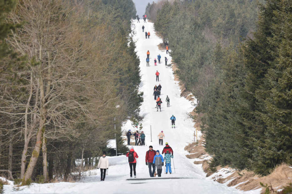 Hinterm Horizont geht's weiter! In Altenberg wurde das Loipennetz in den warmen Monaten ausgebessert.