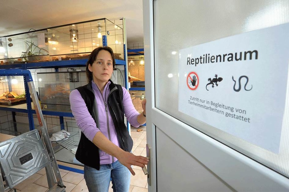 Tierheimchefin Dr. Claudia Ruf (45) befürchtet, Mitarbeiter entlassen zu müssen, sollte die Stadt Zwickau den Fundtiervertrag nicht fortführen (Archiv).