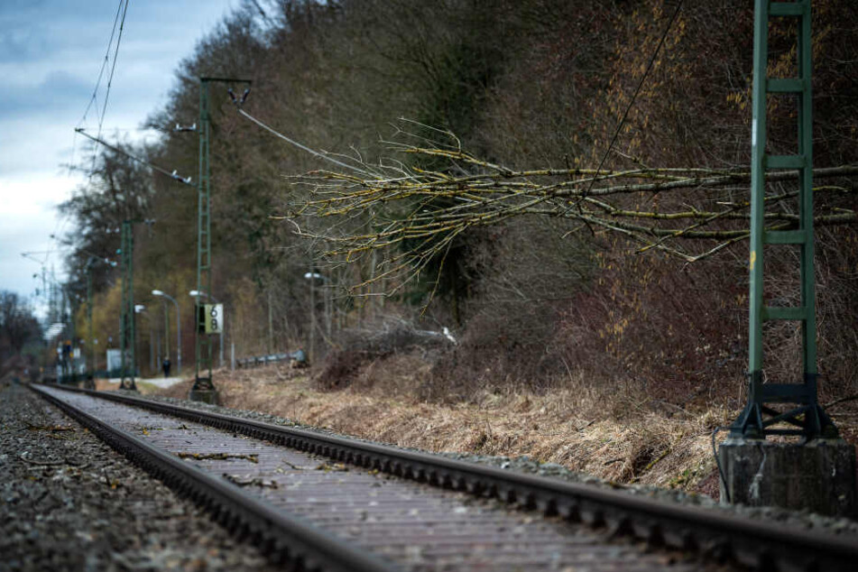 Auf der Bahnstrecke der S2 zwischen St Koloman und Aufhausen liegt ein Baum auf der Stromleitung.