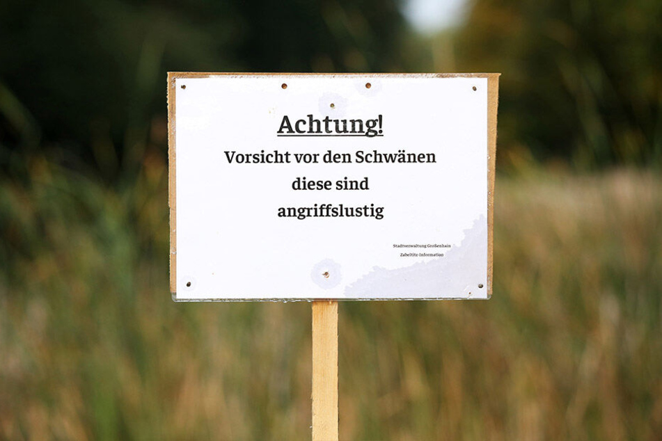 Irritierend: Mit diesen Schildern wird vor einem Schwarzen Schwan gewarnt, der möglicherweise die Parkbesucher attackieren könnte.